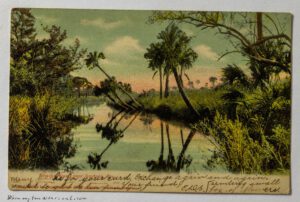 Postcard #0053: Florida Palms and a Request for a “Novel Not Complicated with Love”
