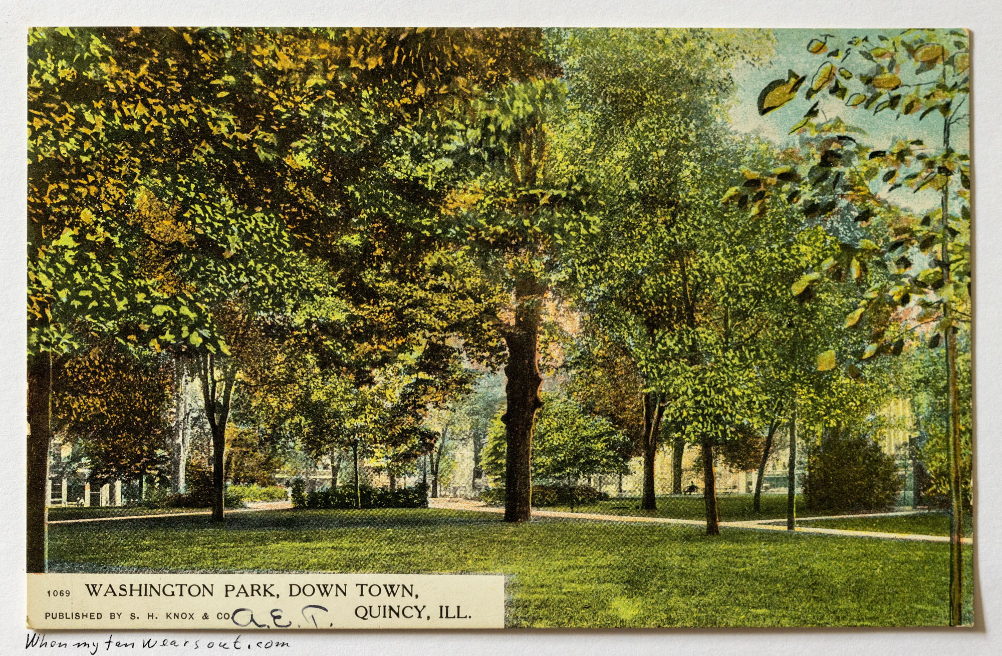 Front of postcard #0062: A colorized postcard depicting Washington Park in downtown Quincy, Illinois, featuring a spacious green lawn shaded by m